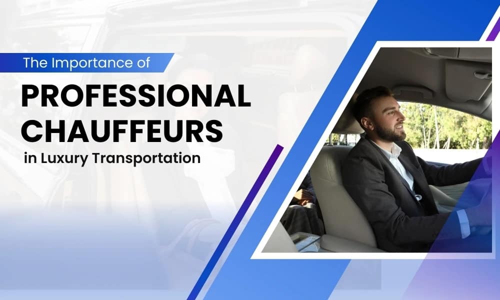 The Importance of Professional Chauffeurs in Luxury Transportation - Airone limo