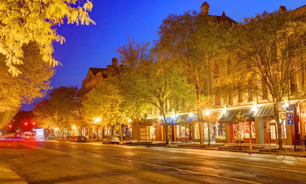 Saratoga - Airone limo