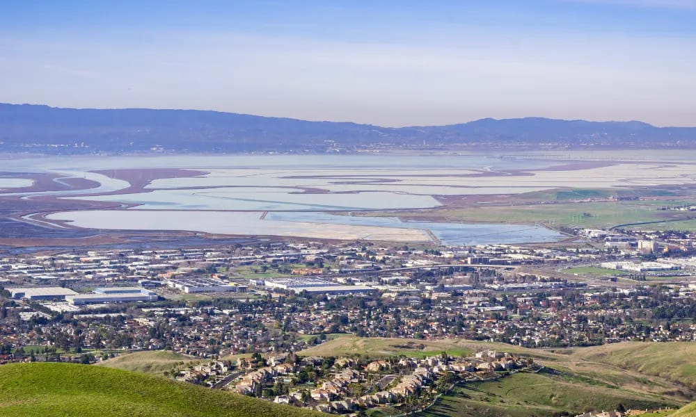 Milpitas - Airone limo