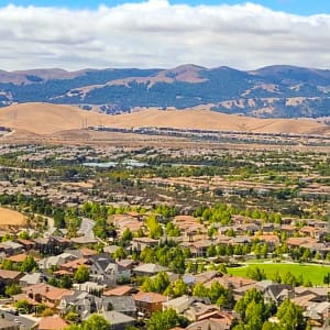 Elevate Every Milestone and Event