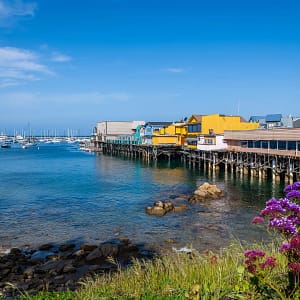 Chauffeured Service in Monterey for Every Occasion