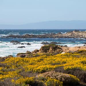 Book Your Luxury Car Service in Pebble Beach Today