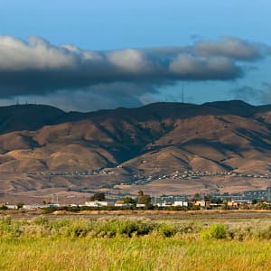 Custom Limo Rental Service in Milpitas