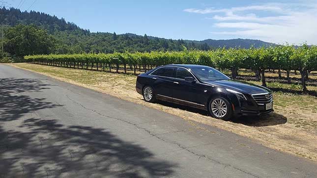 Wine tour car services - Airone limo